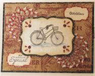 Bicycle Cut and Fold Card