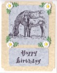 Horse Lover's Birthday